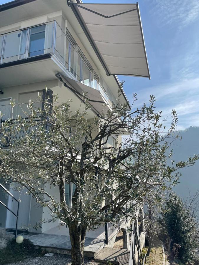 Casa Colmegna Mit Traumhaften See- Und Bergblick Luino Esterno foto