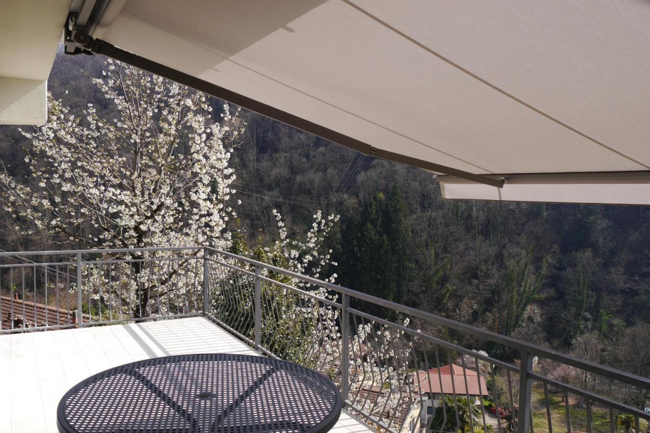 Casa Colmegna Mit Traumhaften See- Und Bergblick Luino Esterno foto